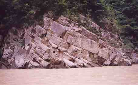 �̹D��}